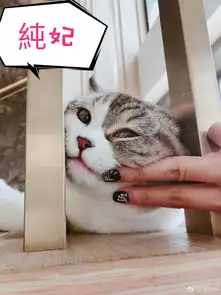 组图喵喵攻略安以轩晒丈夫撸猫照片配字笑翻网友
