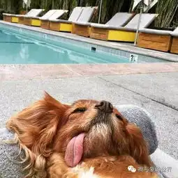 你们整天说的累成狗,大概就是这样了吧......
