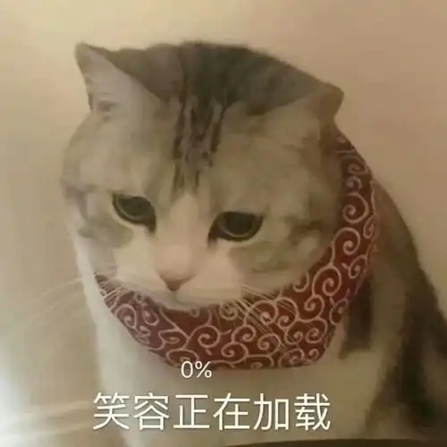 表情包是我不配,打扰了