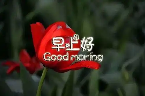 非常漂亮清晨早安祝福图片带字,温馨的早安问候祝福语图片
