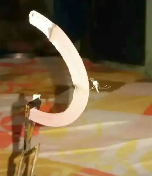 神评论西游记中的通关文牒到底写的什么

