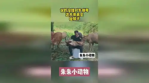 说的没错对牛弹琴,这大哥真会扯犊子
