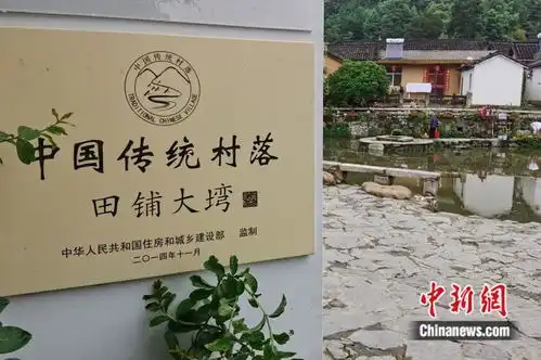 汇聚年轻人的有趣灵魂革命老区昔日空心村变身创客小镇
