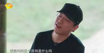 向往的生活黄渤黄磊的这两段对白好搞笑,其他人都插不上话
