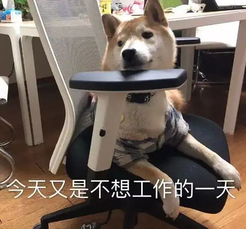 狗狗趁主人不注意把一整袋木耳叼进了洗衣机里,结果全泡发了.....
