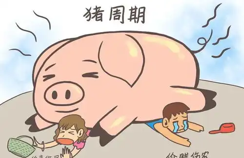 牛市过后长时间的熊市,炒猪团进一步拉低猪价,生猪未来怎么办
