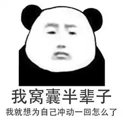 政治
