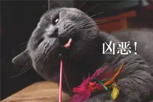 铲屎官用猫咪的不同表情配上文字做成了表情包,太形象了