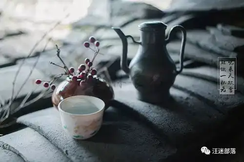 杨凡能饮一杯无

