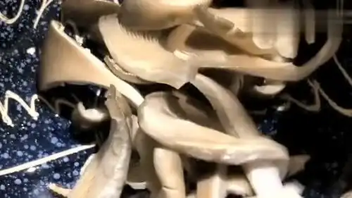 东北人教你炸蘑菇,爆笑来袭,看完特别有食欲
