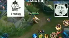 王者荣耀搞笑奇葩视频集锦
