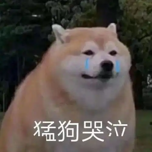 沙雕表情包不听你爹的话

