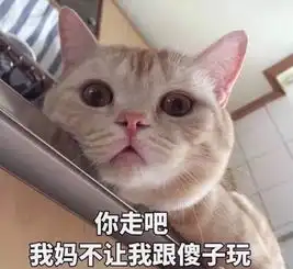 搞笑有趣的朋友圈背景图
