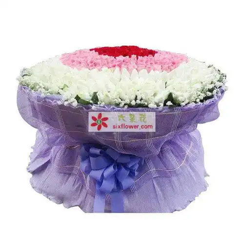 宝贝永远爱你520朵玫瑰
