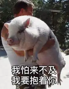 邯郸中秋节前猪肉价格我们走访了多家菜场和超市,发现......
