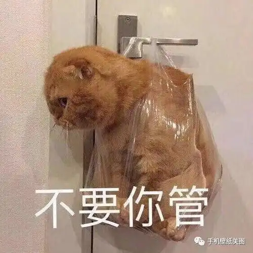 沙雕头像,抖音超火的头像
