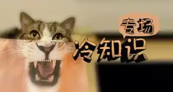 英语作文憋不出来背会这7种模板就够了
