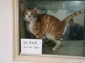 轻松一刻最近,你觉得东西涨价变贵了吗