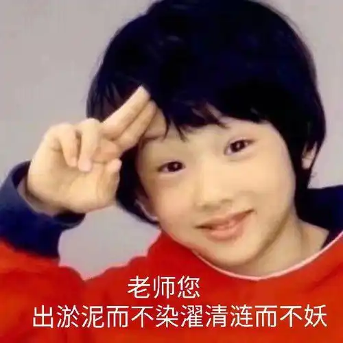 有哪些适合发给老师的沙雕表情包
