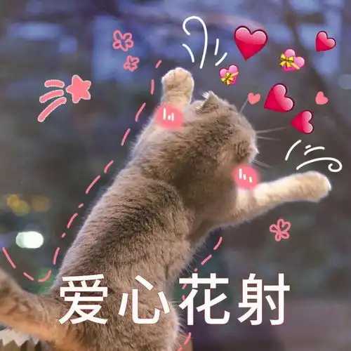 有哪些适合发给女朋友的表情包本人女
