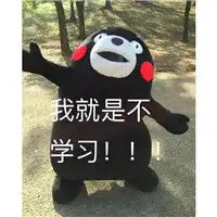 熊本熊表情包带字搞笑我就是不学习
