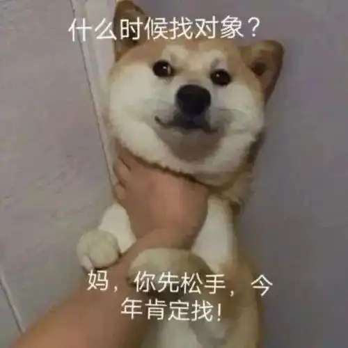贼搞笑的沙雕文案
