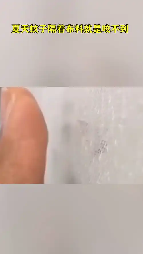 夏天蚊子隔着布料就是咬不到搞笑
