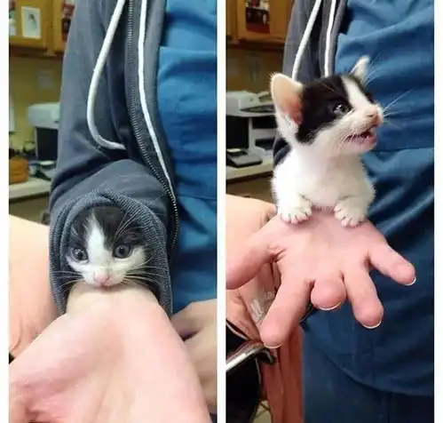 胖子变猛男,3个孩子的爸爸还这么励志...
