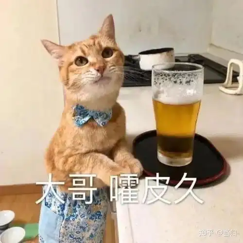 你对象说过什么撩到你腿软的情话
