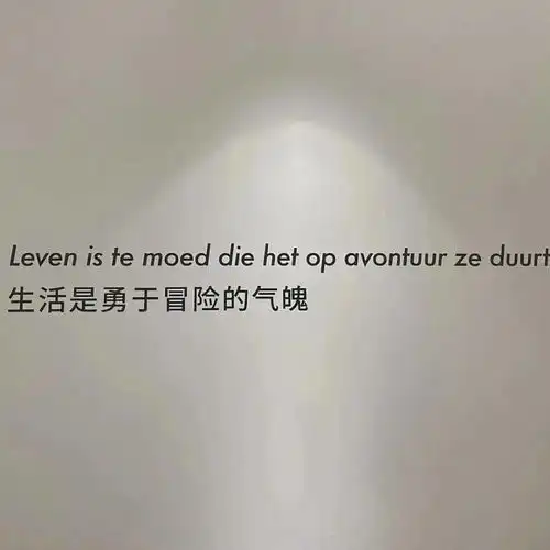 背景图丨热爱生活开心有趣努力善良
