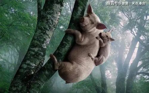 爆笑经典口误第一集

