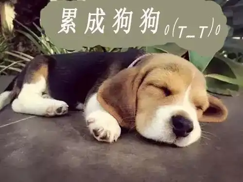 你是否在盲目地忙着
