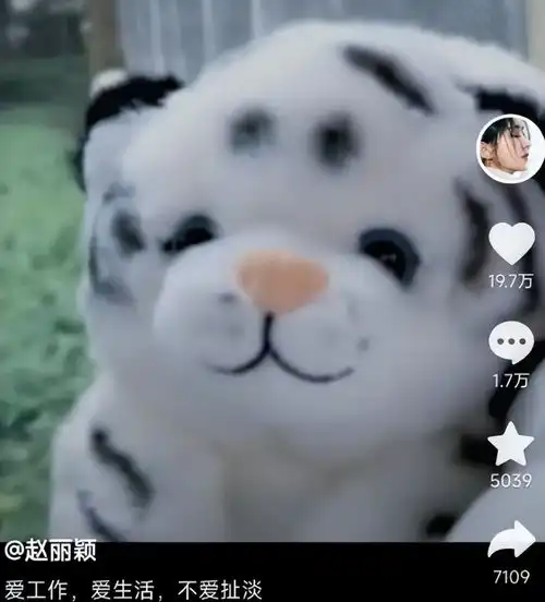 藏不住了赵丽颖带4岁儿子游玩,罕见晒出母子照,网友好妈妈
