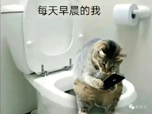 2023搞笑诺奖揭晓死灵蜘蛛人斯坦福看菊花马桶,十大人类迷惑行为大赏