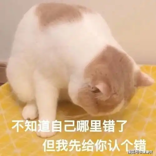 热门表情包图片哥哥,你在干嘛呀,狗呆

