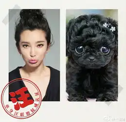 组图李冰冰模仿狗狗表情搞怪笑侃仍是单身汪
