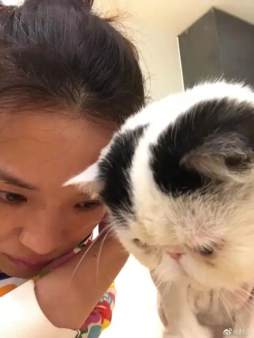 组图舒淇晒与猫咪搞怪合影素颜出镜面色红润皮肤紧致很真实
