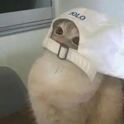 沙雕头像生活需要多一点乐观
