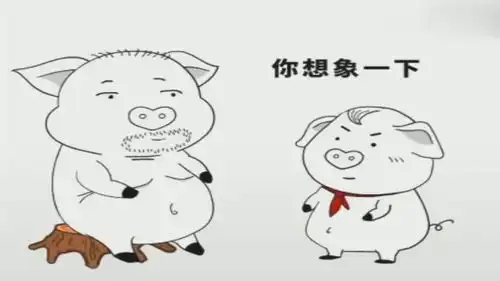 猪屁登睡前给爸爸讲了故事,爸爸却给了它一耳光,真是太搞笑了
