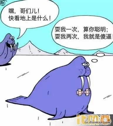 大雪后的白菜田,好像鸡蛋仔啊
