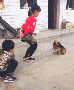 搞笑gif趣图你们女生过分了,欺负男生和狗
