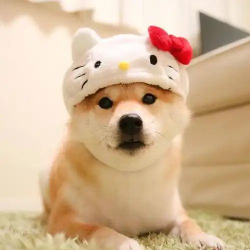 mscang唱吧,玩音乐,就上唱吧
