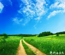 医药muslimwww