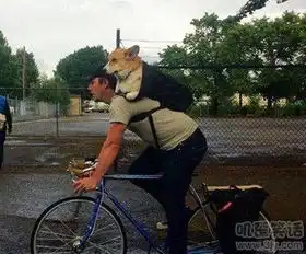 主银你可以骑快一点搞笑图片
