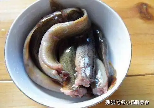 做泥鳅时,需要将内脏去掉吗厨师的话,一下点醒了我
