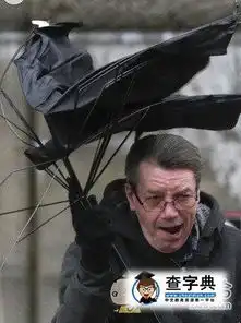 风太大了,都要吹成傻
