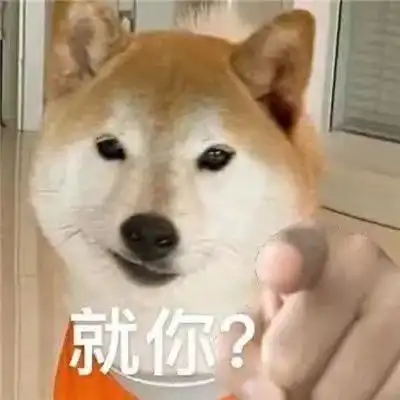 表情包狗狗爆笑的聊天表情合集
