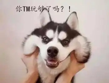 二哈图片搞笑表情