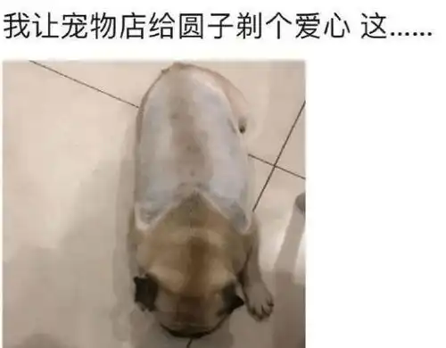 如果我当你一天的女朋友,你会带我做什么真是不客气啊哈哈哈
