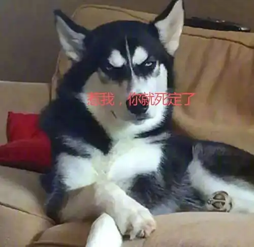 2018年即将过半,火遍朋友圈的单身狗都结婚生崽了,你呢
